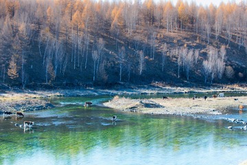 “_DSC0378”为智能对象-1.jpg