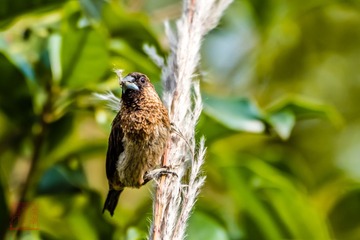 20171127-DSC_9946-1A