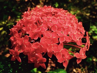 CC82C446-B0F6-41F7-938A-EE5E32C5874E/L0/001