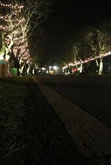 DSC_1089.JPG