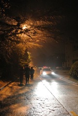 DSC_1951.JPG