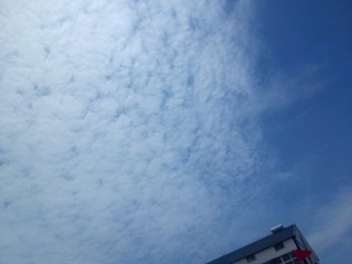 1220711