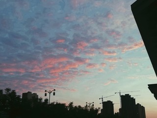 116385