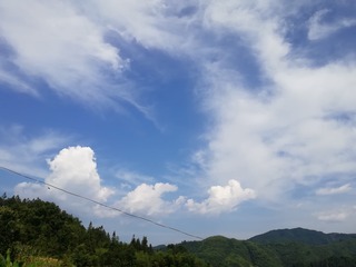 2251479