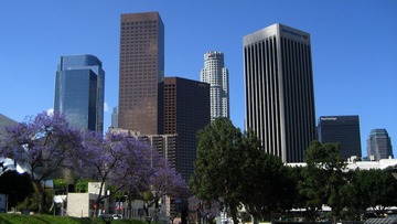 20100528 092.jpg
