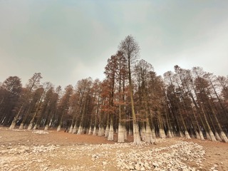 237D9FF5-4594-4E7B-9593-128119AEA853/L0/001