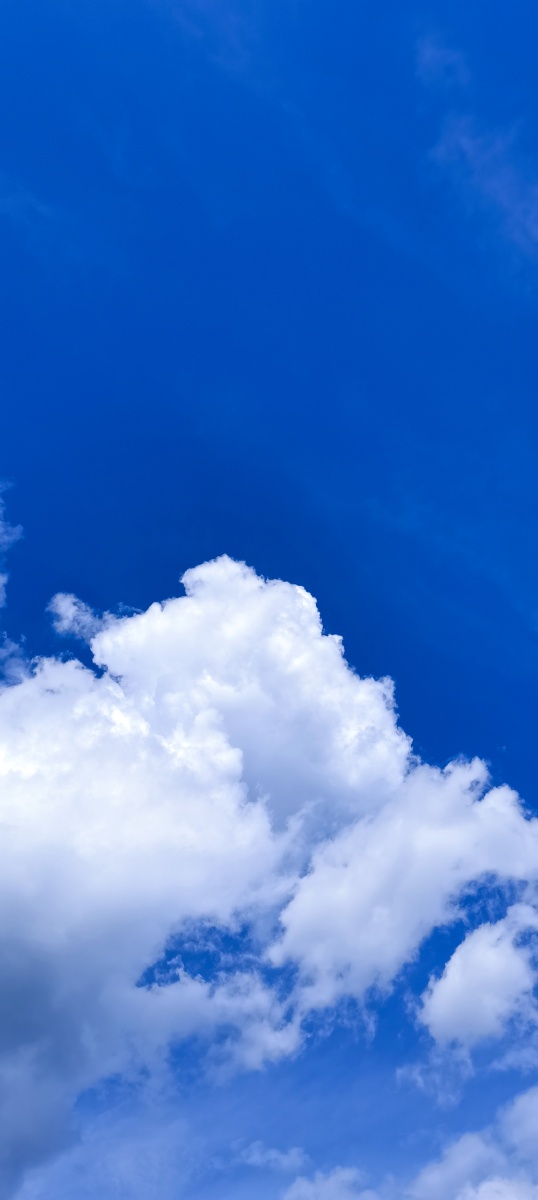 天空很蓝阳光很暖