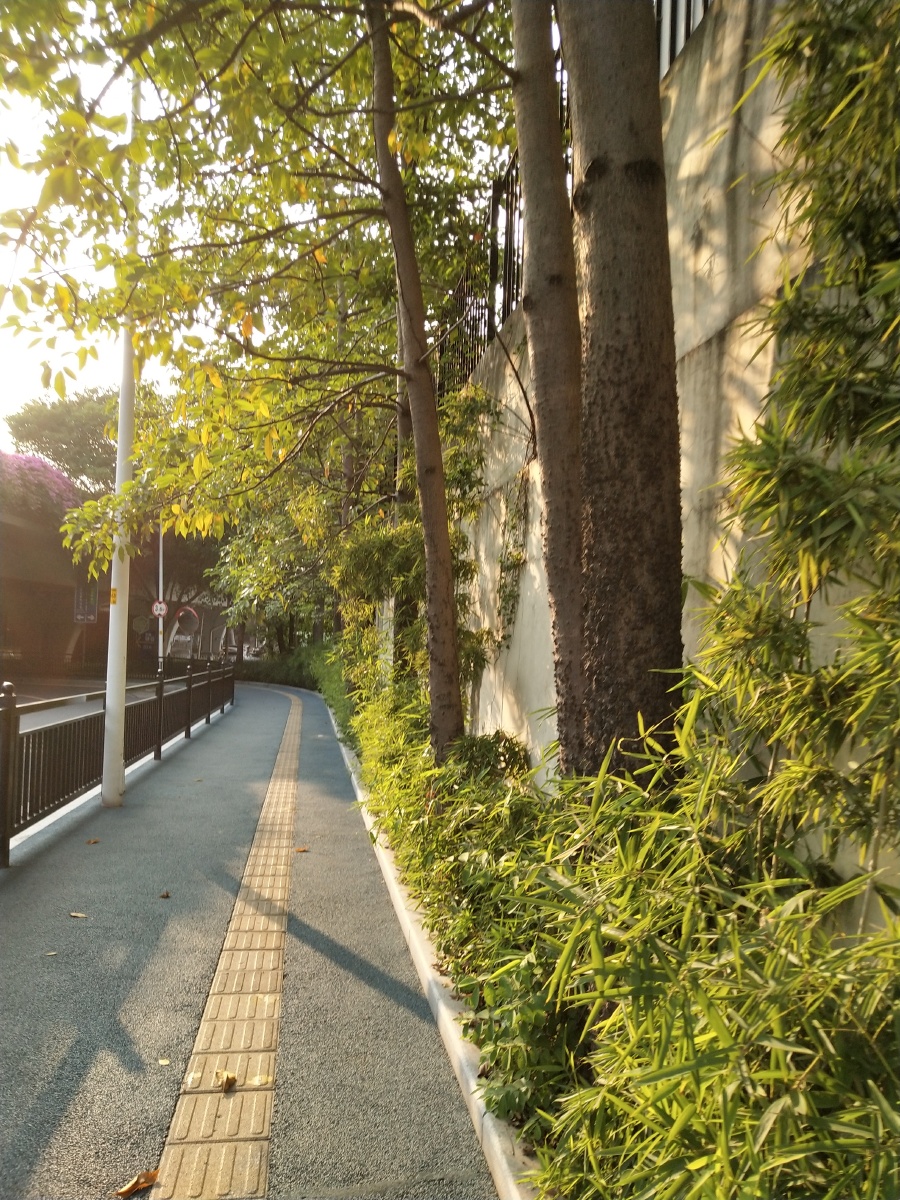 下午五点的阳光