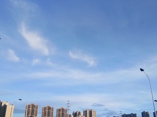 1021184