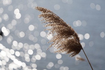 0C99077F-849F-40F8-98BC-1C9FF31B4997/L0/001
