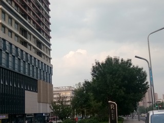 2559249