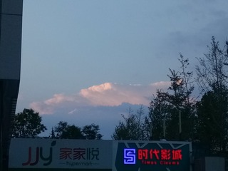 2559244