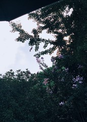 A9B761E9-C2D5-434B-986F-917E8E0F5EB0/L0/001