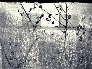 2010.12.24
