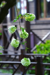 E5323889-D1B0-4557-B113-23D21D741EAB/L0/001