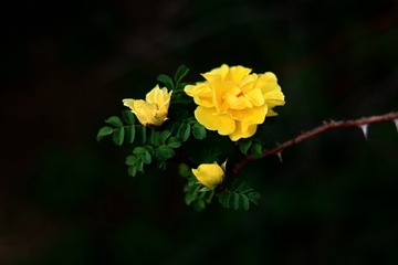 2DC5190A-9253-43CF-8E64-9301D4BB8D4C/L0/001