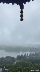 1000090561