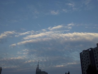 1303196