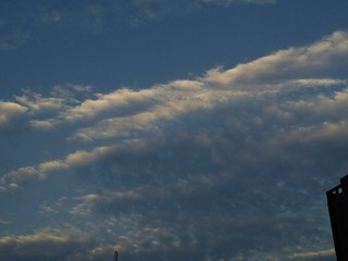 1303195