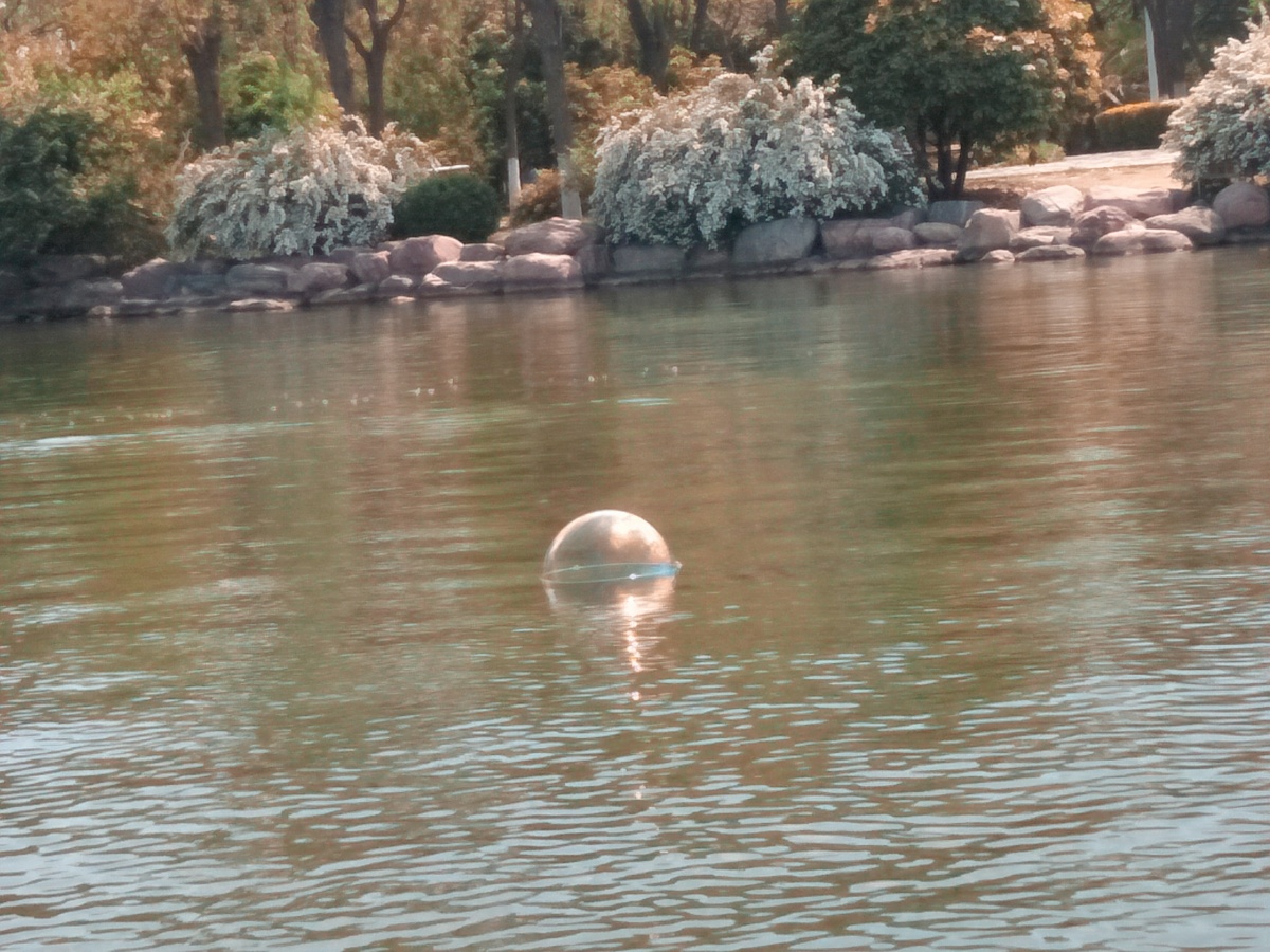 夏日炎炎去划船啦不知道从哪飞来的泡泡落在水面被我偷拍到啦哈哈哈