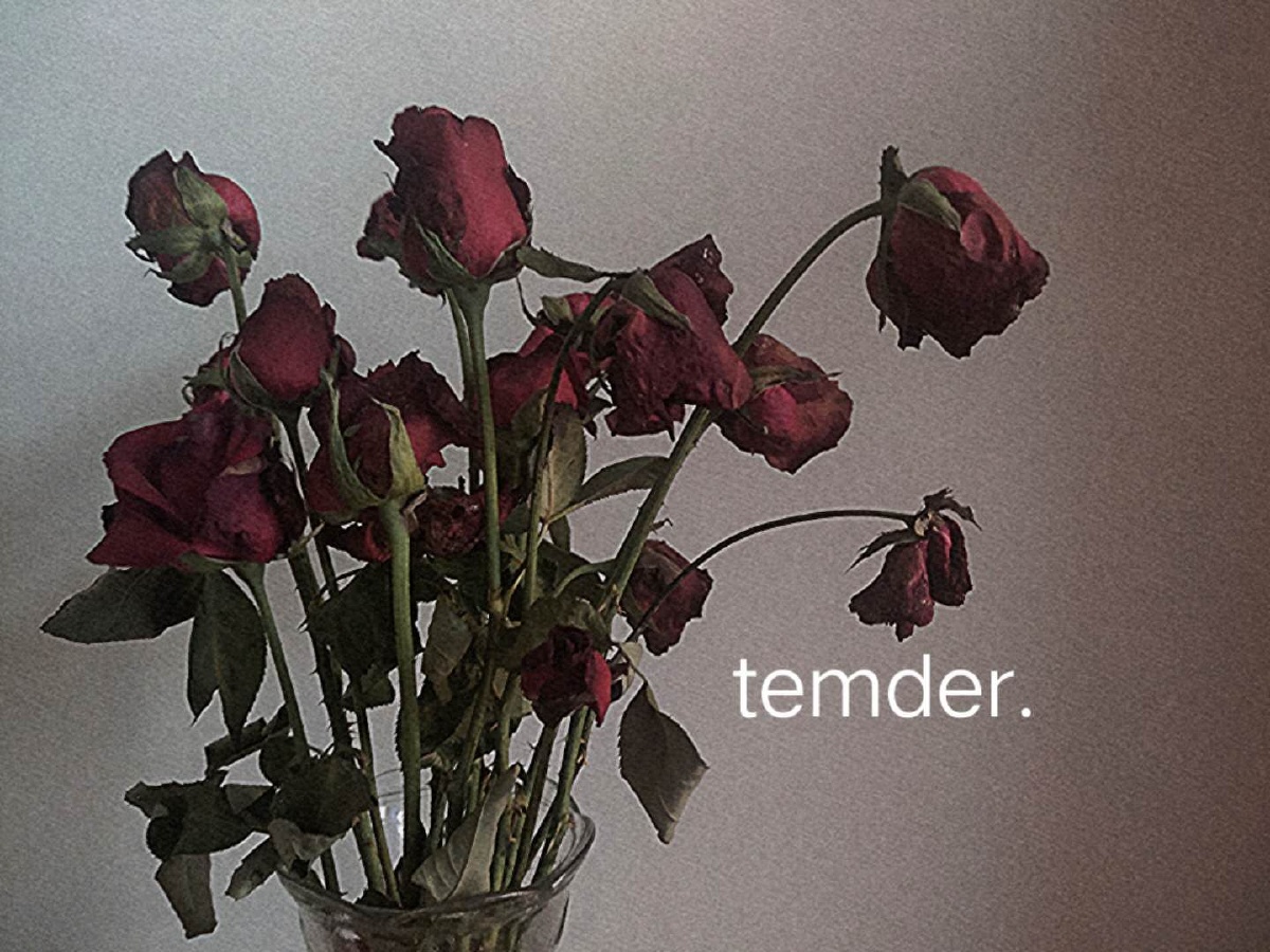 自己拍的喔枯萎的玫瑰08