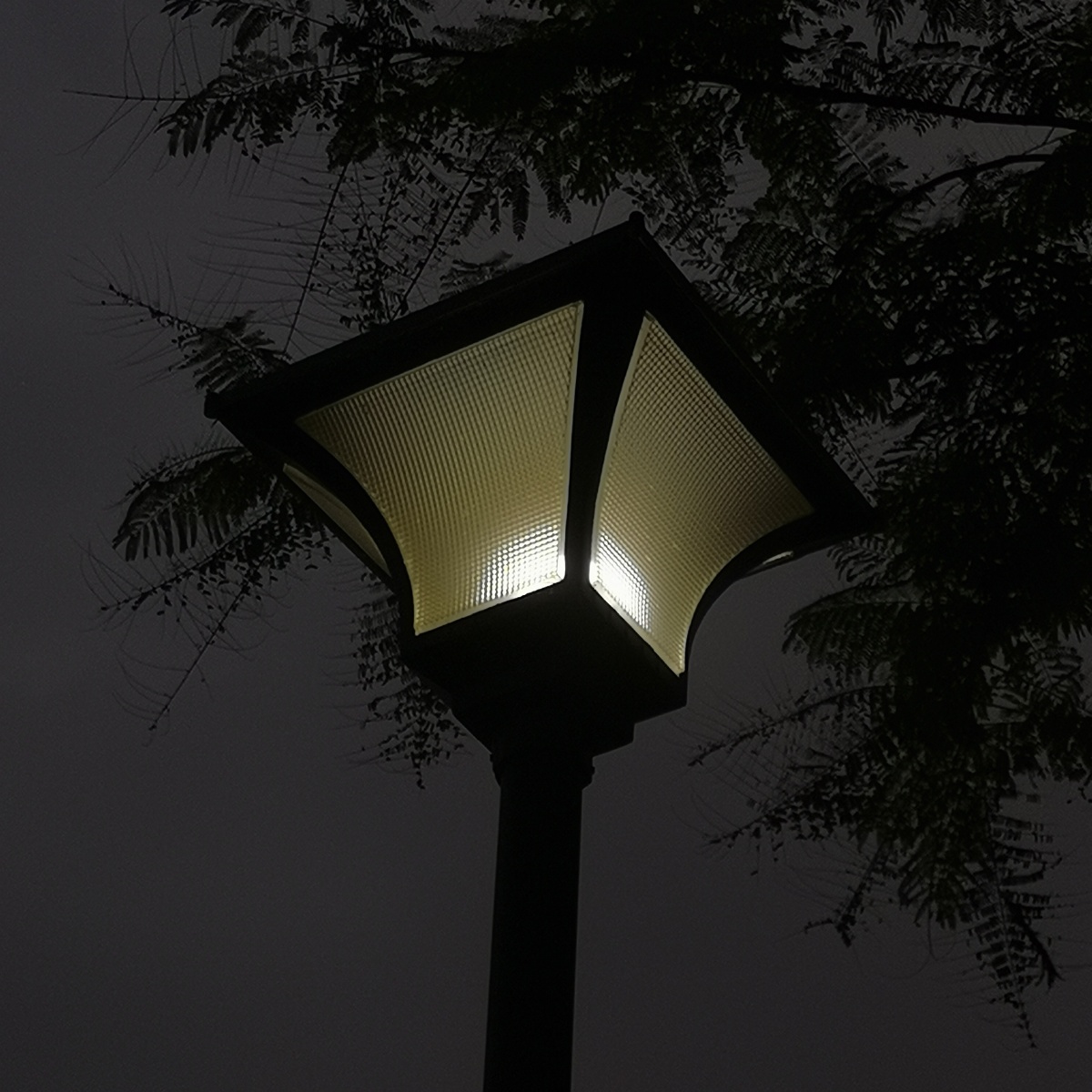 夜里会有人给你留一盏灯吗