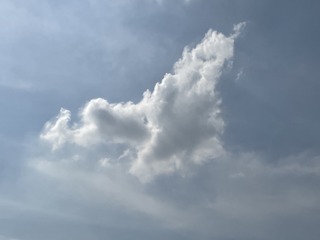 06F6ECDE-4A4C-4954-9CDC-3CB10995ECBA/L0/001