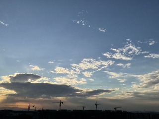 9BB1C294-542C-421B-9E55-13AB3EE4B86F/L0/001