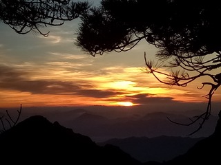 F5EB86A0-66B5-420E-8169-D46E94E34A9B/L0/001