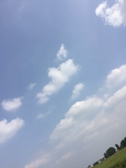 BD04A66A-FFE2-4F9D-BD45-F32743001F90/L0/001