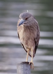 545573