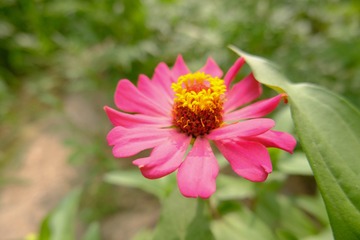 DSCF6469-2