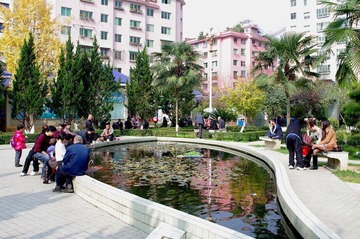 IMGP0304.JPG