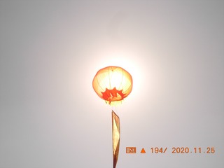 1961221