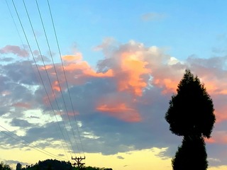 312AA33C-8DD8-442A-806F-CD4BFA4AD7DF/L0/001