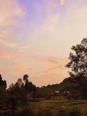 94391A71-777B-49DF-9C80-2DB3221F595D/L0/001