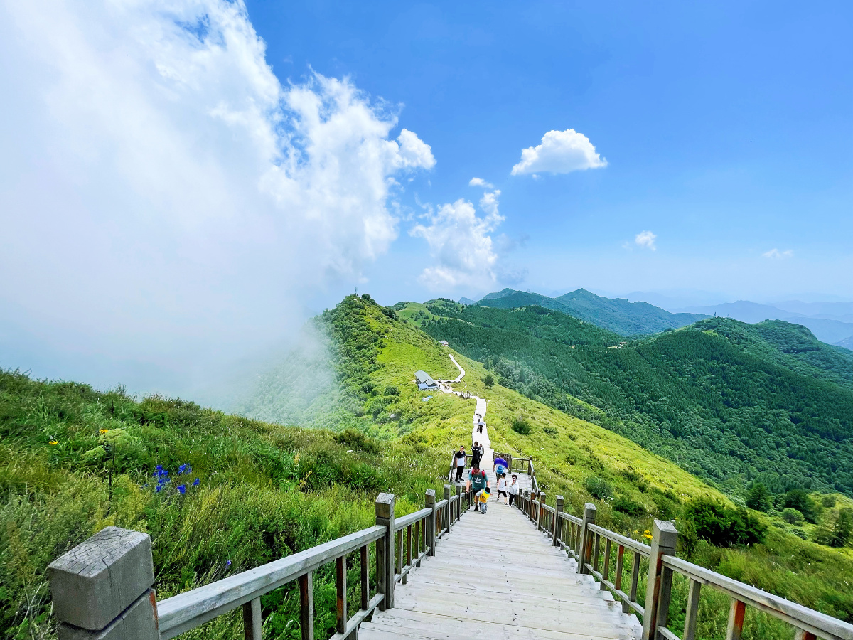夏天的驼梁云顶草原