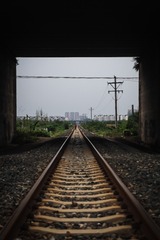 1494242
