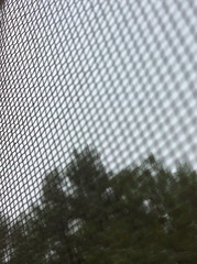 B6598D43-4DC8-42E0-8338-E5DFC3785CAD/L0/001