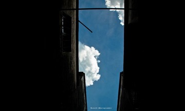IMG_7742-1.jpg