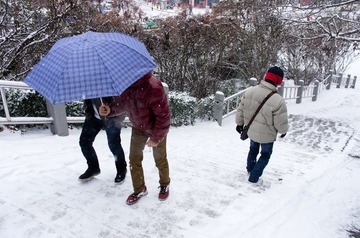 snow_-15.jpg