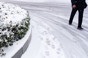 snow_-14.jpg