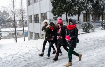snow_-8.jpg