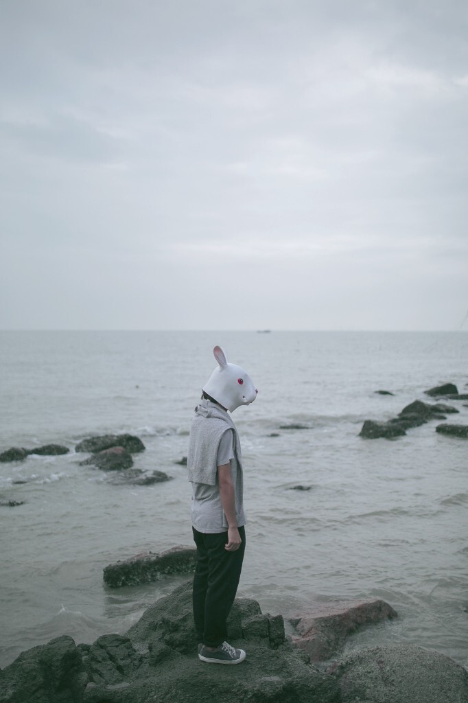 海边活捉一只兔子先生