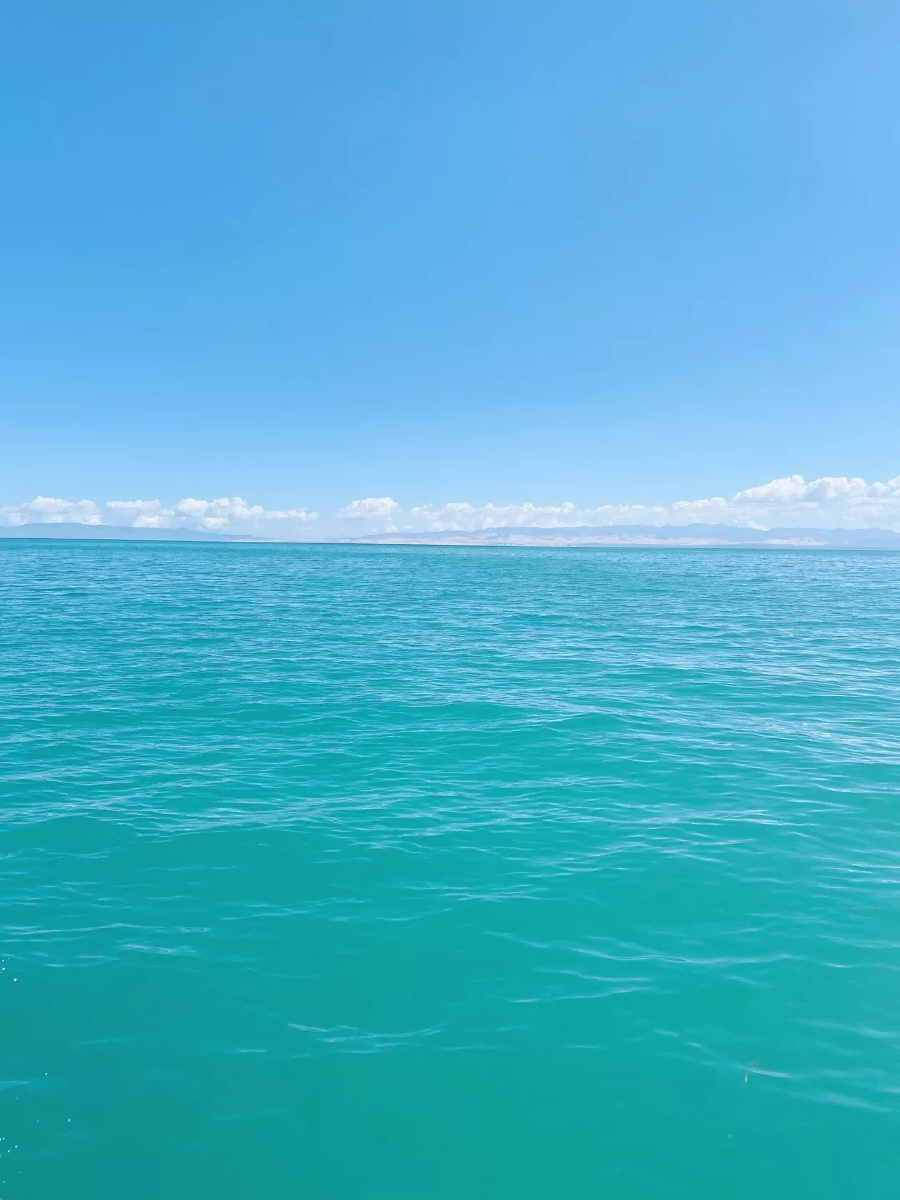 青海湖景.