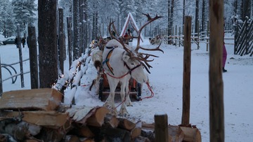 8DA85DEC-A258-457A-9F37-9182C3E7F8F1/L0/001