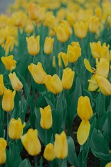 78AB0BA5-7BEA-4E13-B87C-D1DC7B1FB786/L0/001
