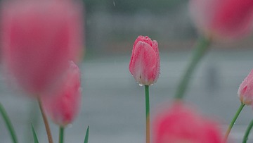 6830016E-58A4-4D7E-B419-9E27FE31A5E3/L0/001