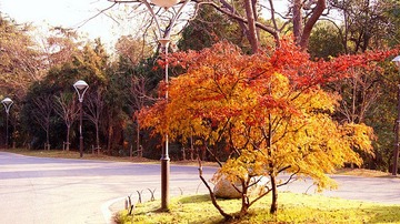 dsc04763_副本.jpg