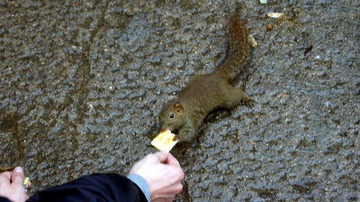 dsc05211_副本.jpg
